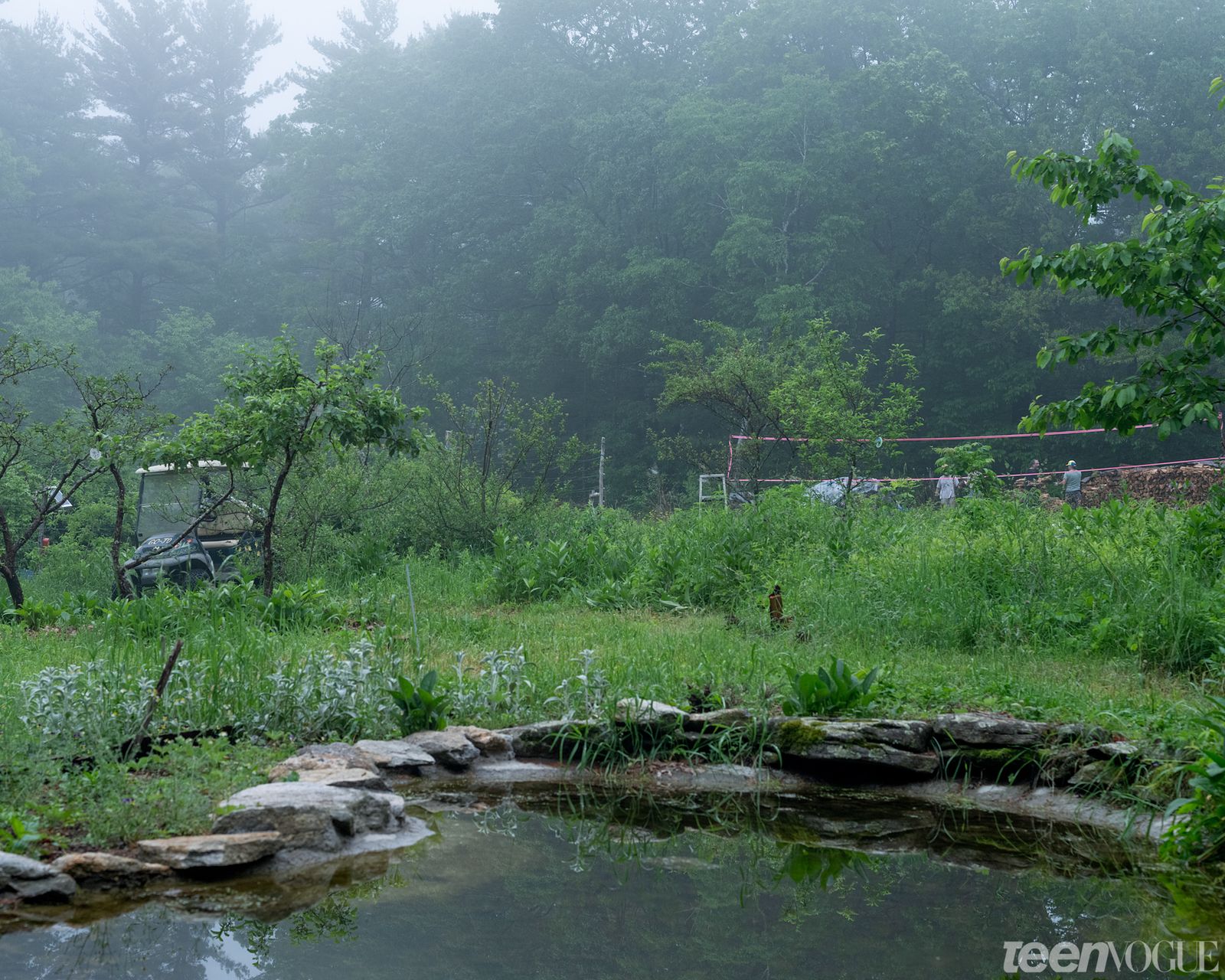 A rainy day at the Sirius Community photographed in Shutesbury Massachusetts
